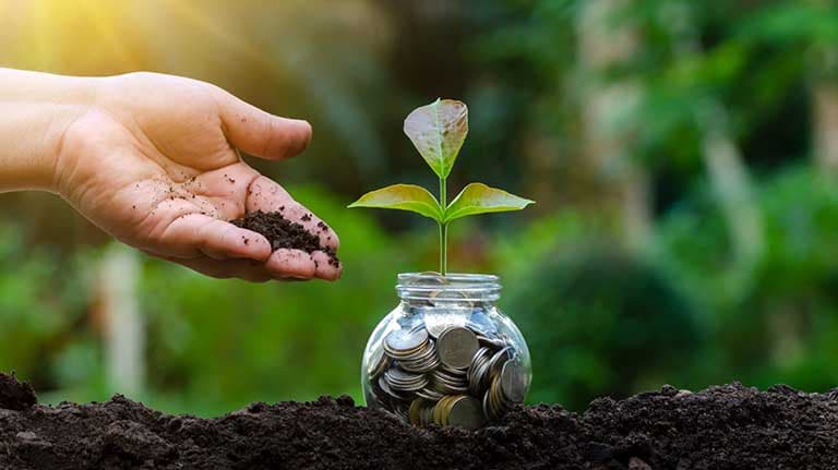 الجزائر.. إطلاق مشروع تعاون ودعم للمؤسسات الصغيرة والمتوسطة في الاقتصاد الأخضر