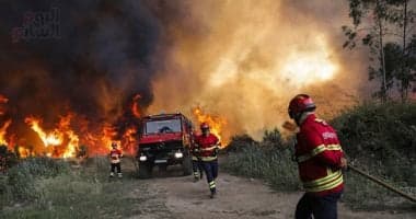 الجزائر تواجه جحيم الحرائق.. إخماد 108حرائق بالغابات خلال 24 ساعة.. درجات حرارة قياسية فى 31 ولاية جزائرية تصل إلى 49 درجة.. تحذيرات شديدة للمواطنين.. و"الحماية المدنية" تعلن حالة الاستنفار القصور فى 44 ولاية