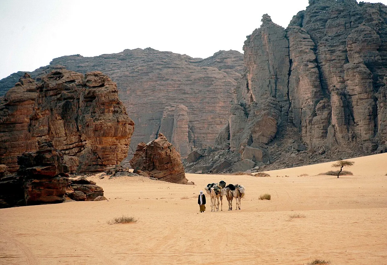 طاسيلي ناجر — ولاية إليزي
